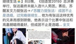 苏醒粉丝爆料视频网站,揭秘视频网站幕后故事