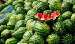 网红吃瓜免费入口下载,下载攻略大公开